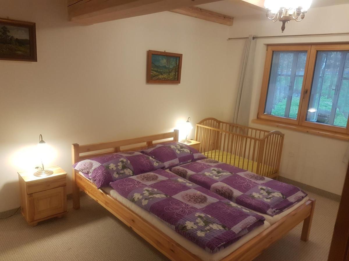 Byt Knezice U Vrchlabí Buitenkant foto